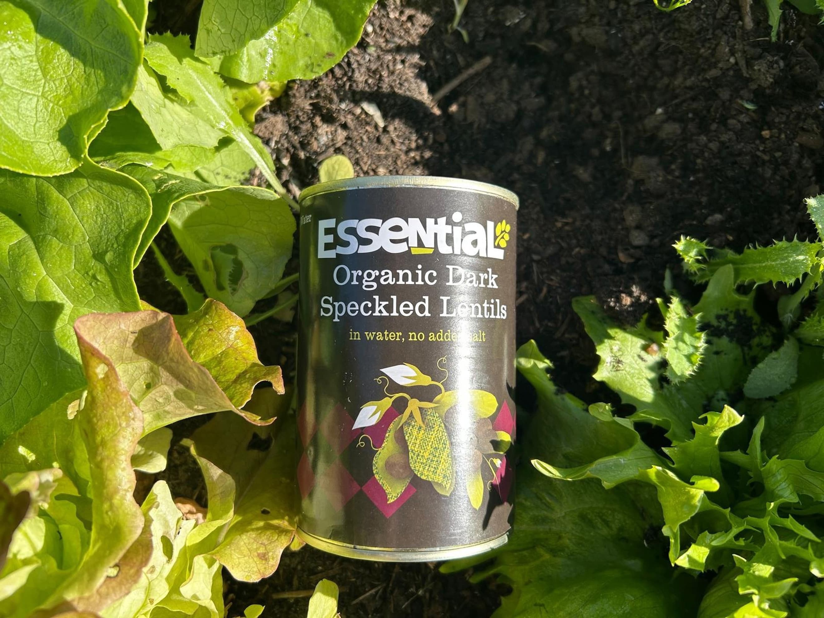 Dark Speckled Lentils (400g)