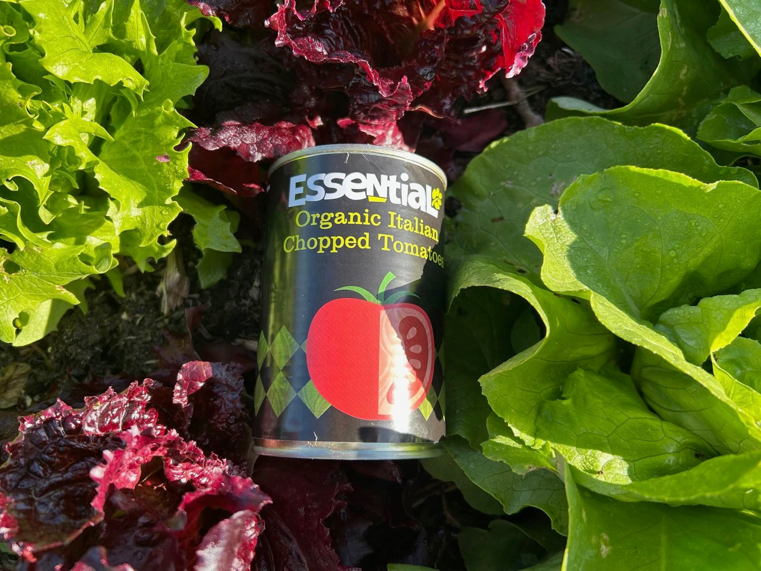 Tomatoes Tinned Chopped (400g)